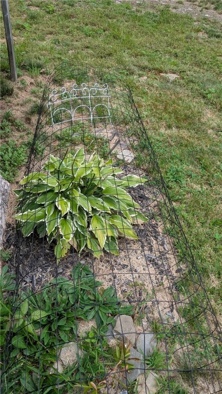 12-2-11 Wood Road Jefferson, NY 12093 - Photo 32 of 42 Hostas adorn lot