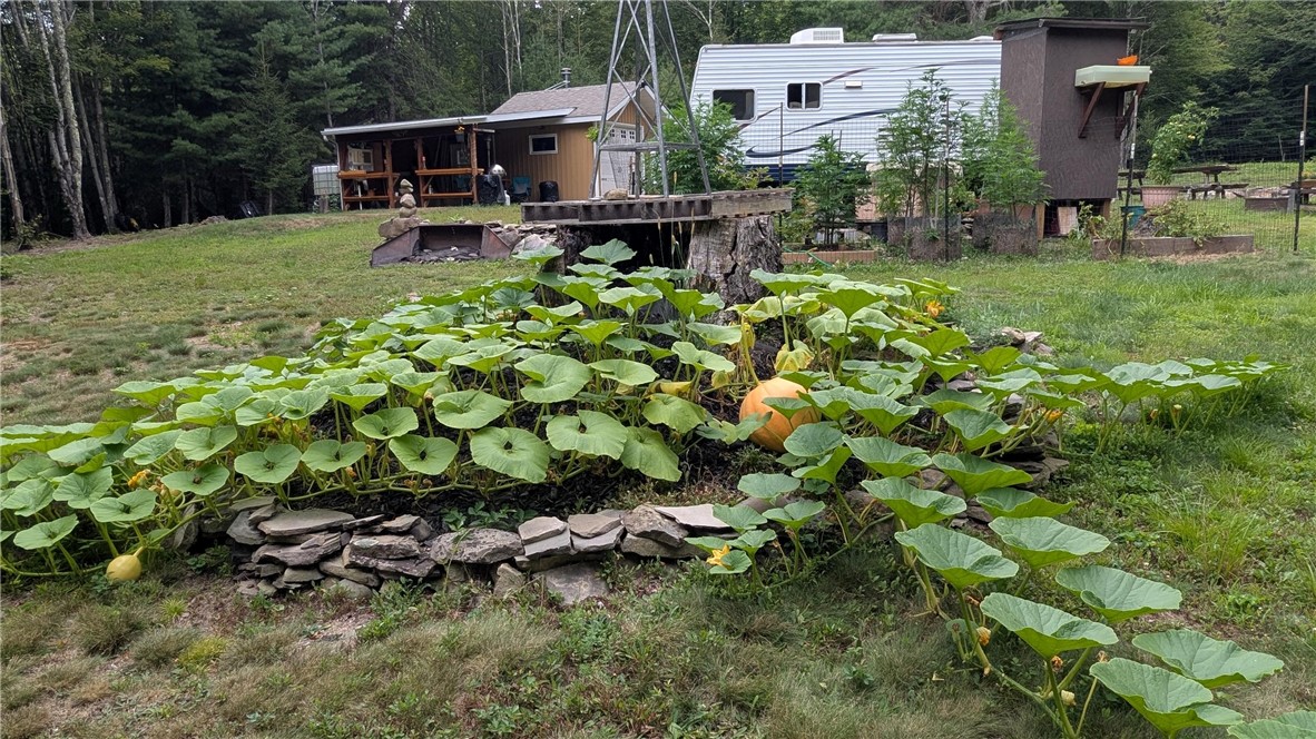 12-2-11 Wood Road Jefferson, NY 12093 - Photo 34 of 42 Getting ready for Halloween and thanksgiving pumpk