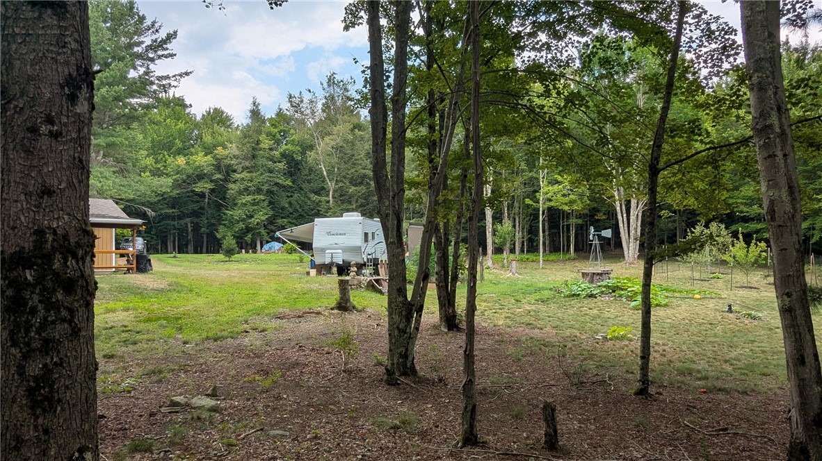 12-2-11 Wood Road Jefferson, NY 12093 - Photo 36 of 42