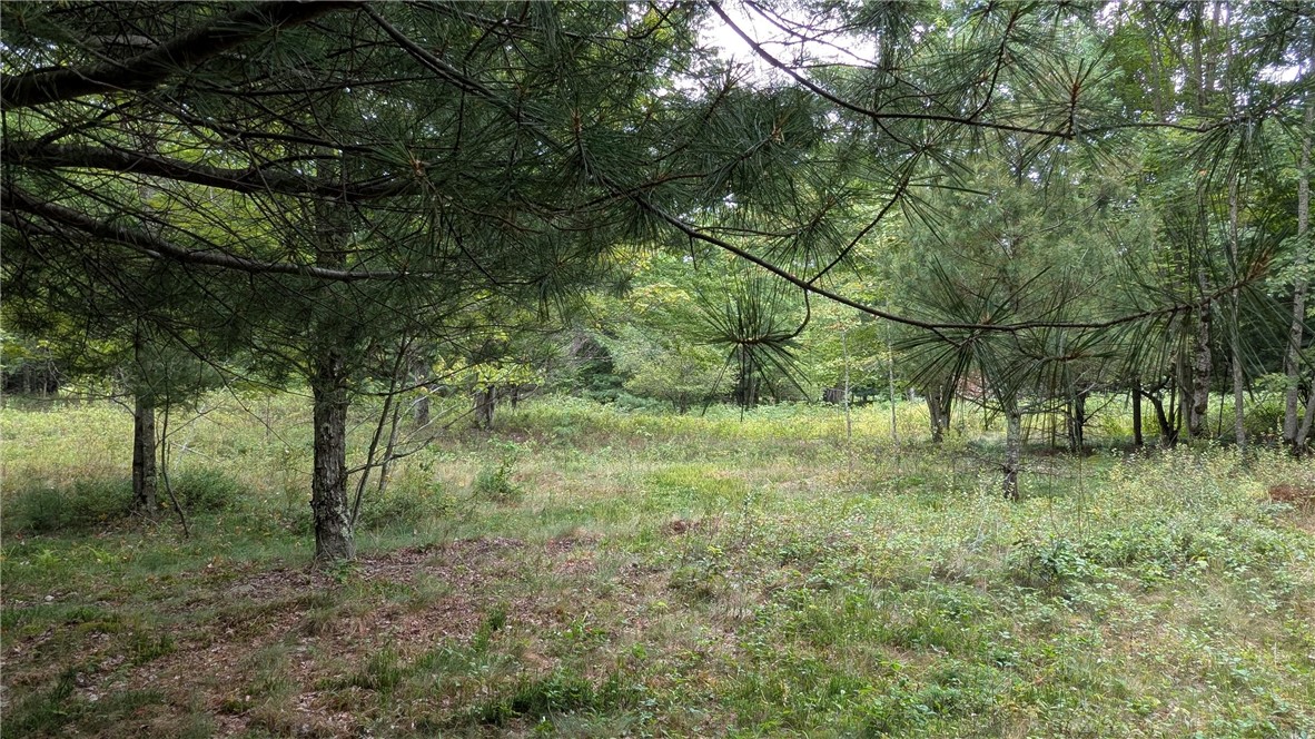 12-2-11 Wood Road Jefferson, NY 12093 - Photo 37 of 42 More wooded area in rear of lot