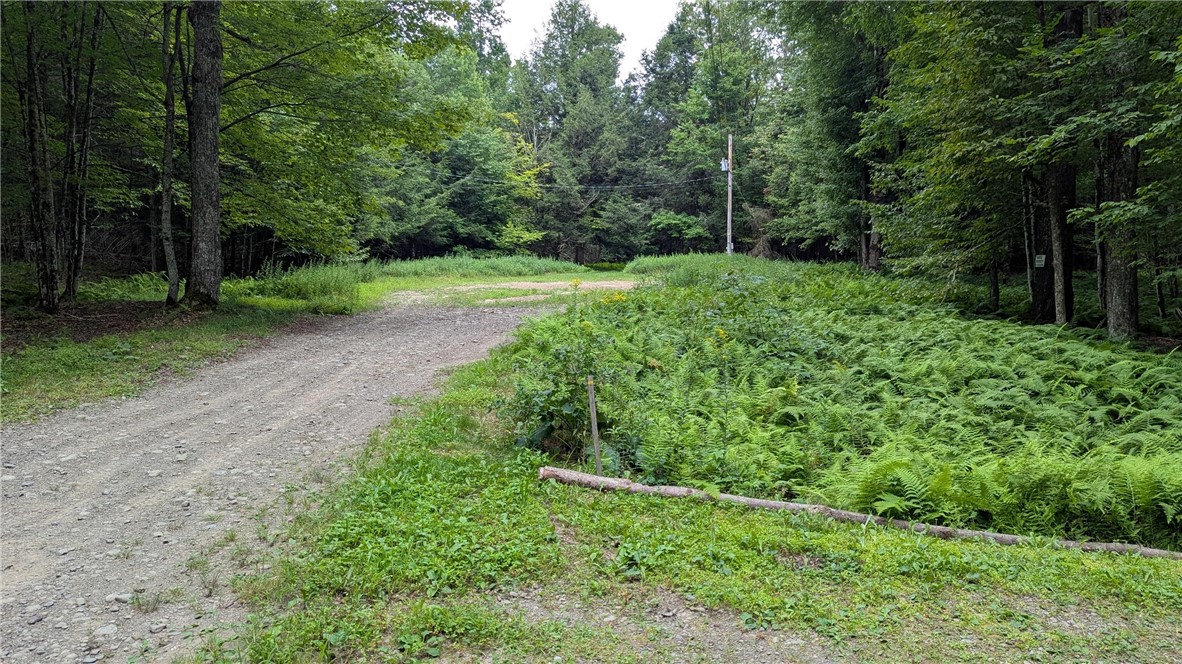 12-2-11 Wood Road Jefferson, NY 12093 - Photo 40 of 42 End of Wood Road . See entrance to Drive for parce