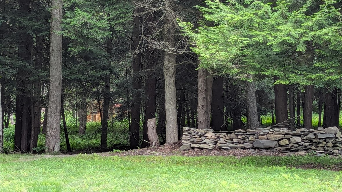 12-2-11 Wood Road Jefferson, NY 12093 - Photo 4 of 42 Another view of some of the stone walls