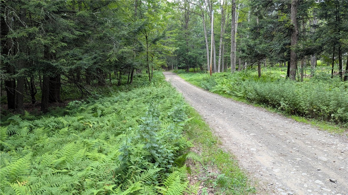 12-2-11 Wood Road Jefferson, NY 12093 - Photo 41 of 42 View of Wood Road ahead of driveway entrance to pa