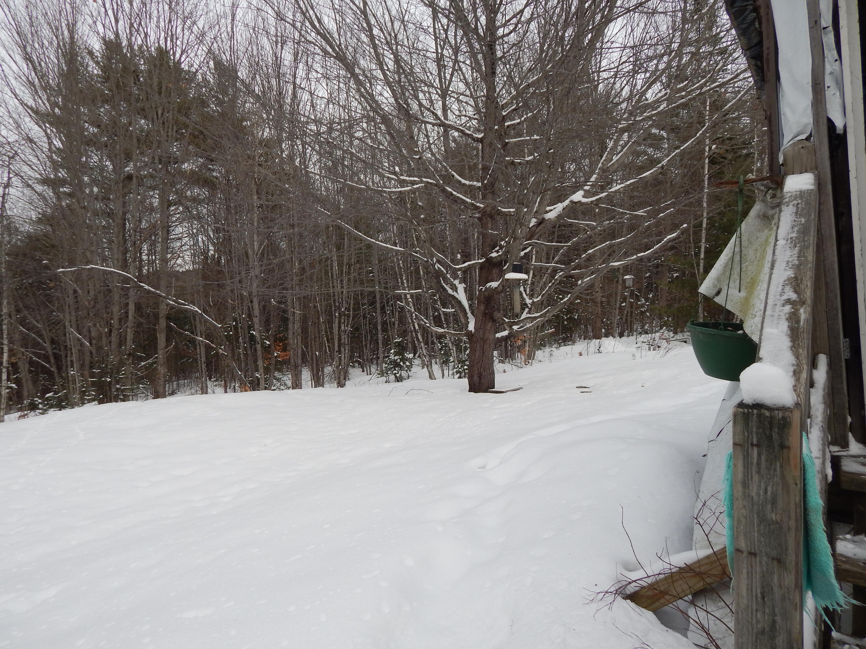 138 Old Town Farm Road Norway, ME 04268 - Photo 7 of 12 DSCN5235