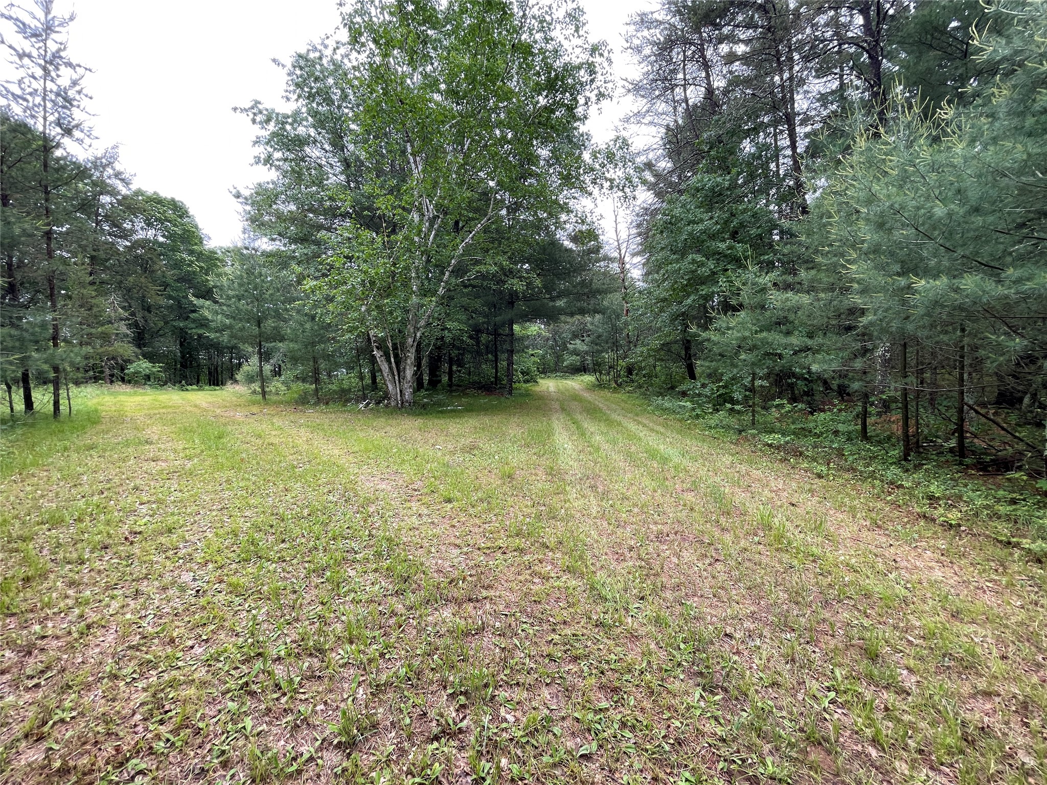 0 Loon Lake Road Spooner, WI 54801 - Photo 18 of 18