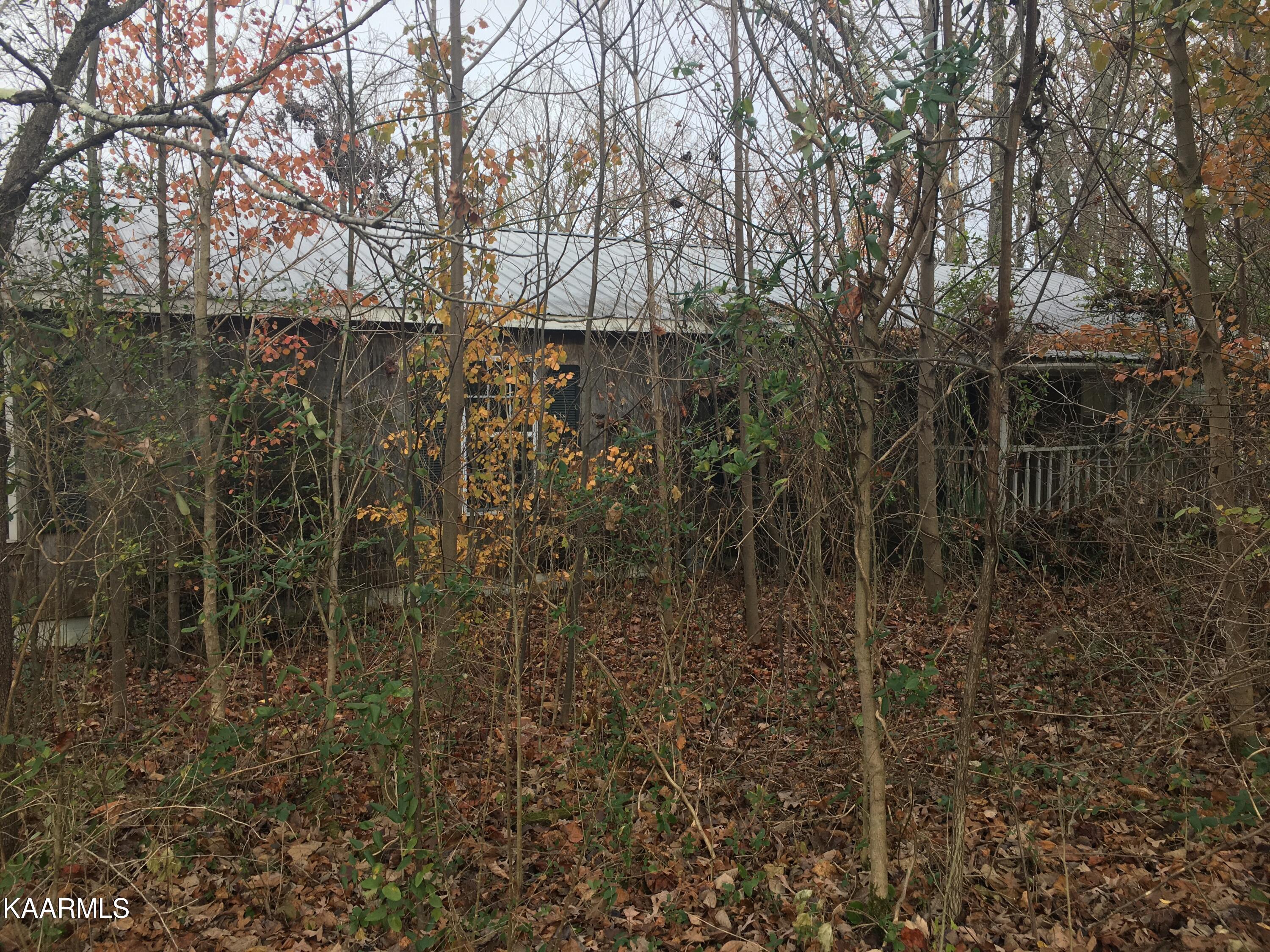 Yellow Cliff Road Jamestown, TN 38556 - Photo 2 of 4 IMG-2416