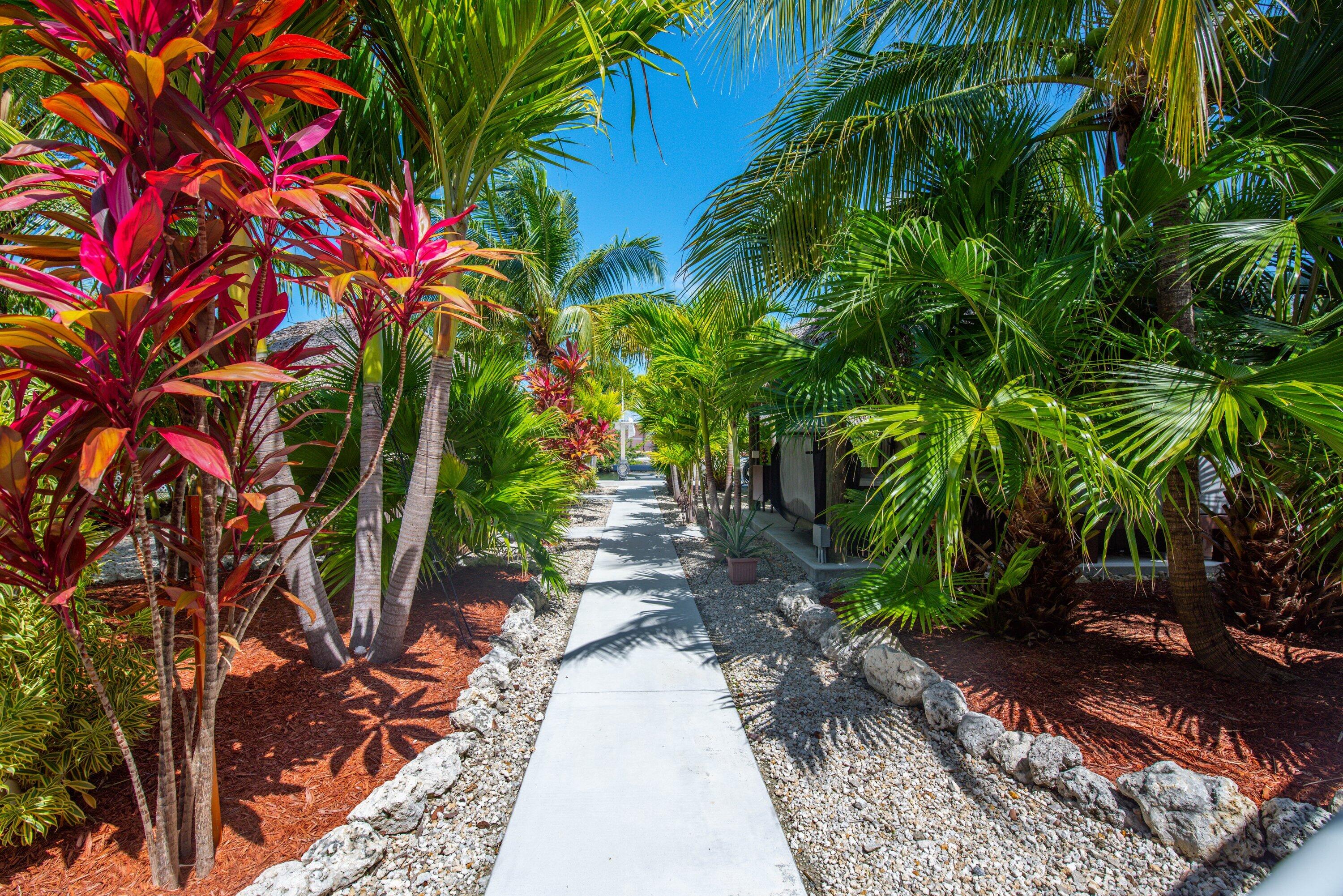 Lush Trolpical Walkway