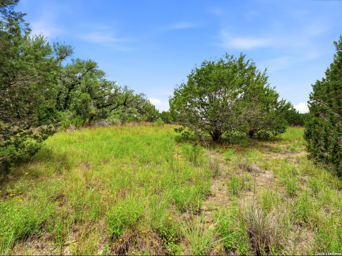1030 Sunrise Place Spring Branch, TX 78070 - Photo 10 of 30