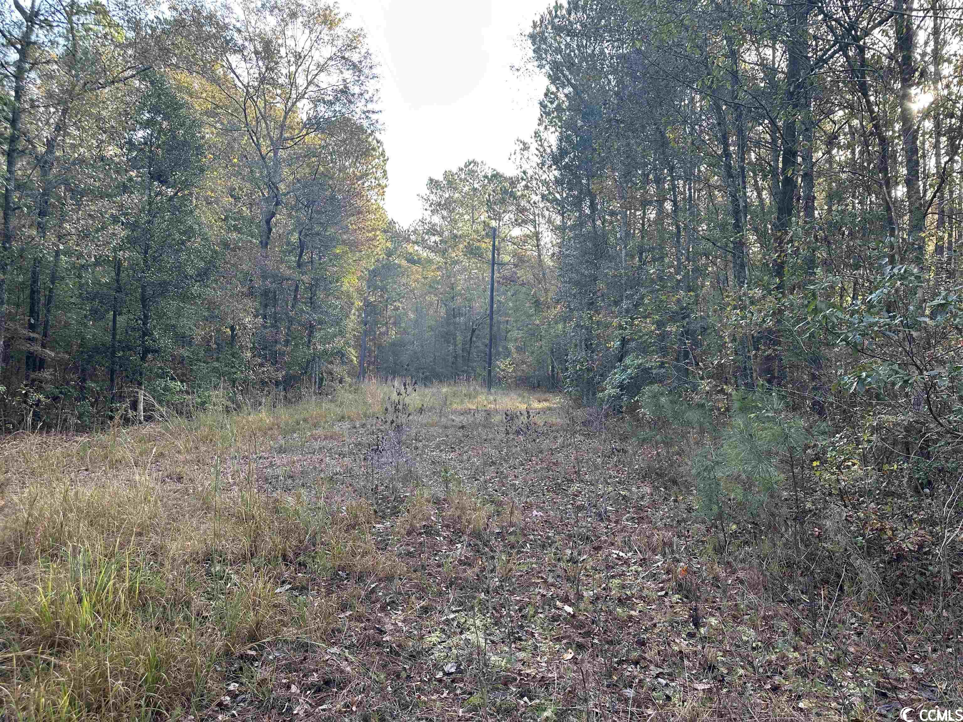 Tbt Francis Marion Road Florence, SC 29506 - Photo 1 of 12 Gallery Image 1