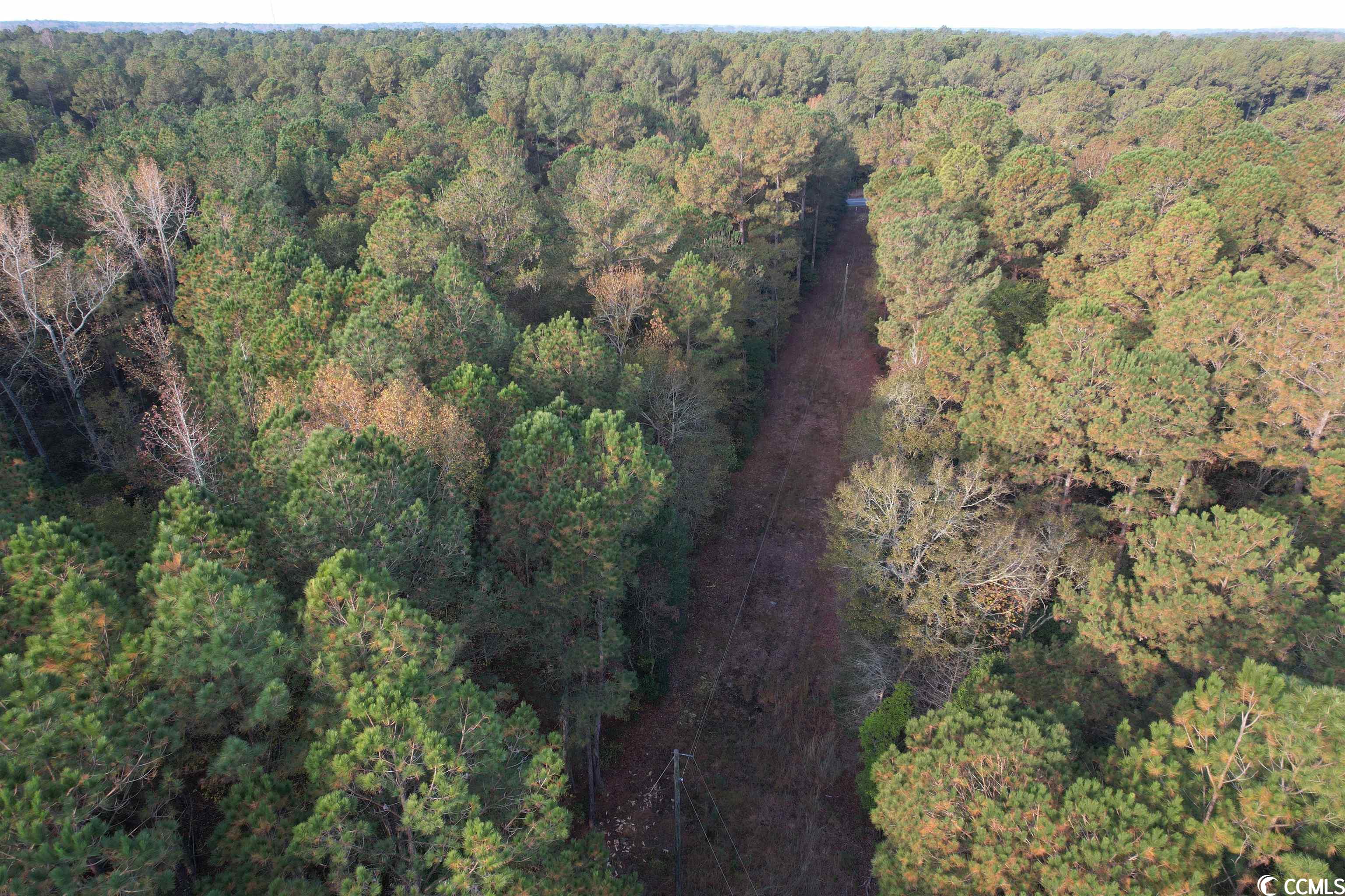 Tbt Francis Marion Road Florence, SC 29506 - Photo 4 of 12 Gallery Image 4