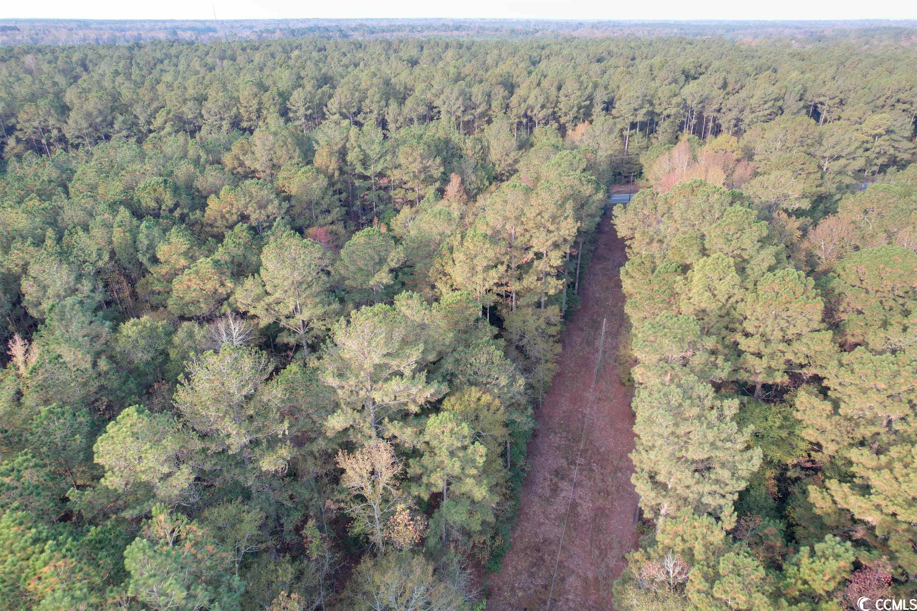 Tbt Francis Marion Road Florence, SC 29506 - Photo 7 of 12 Gallery Image 7