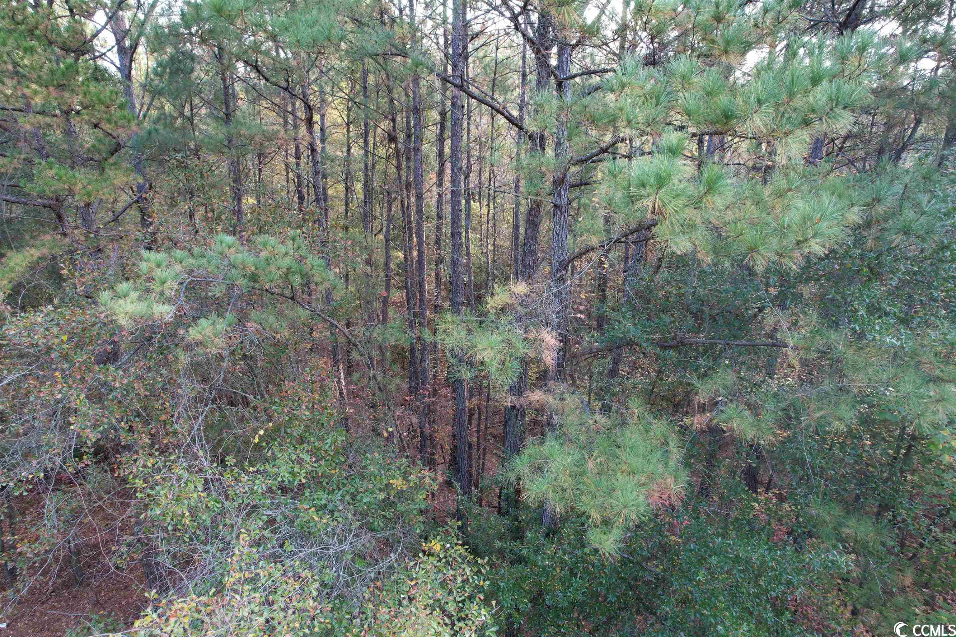 Tbt Francis Marion Road Florence, SC 29506 - Photo 9 of 12 Gallery Image 9