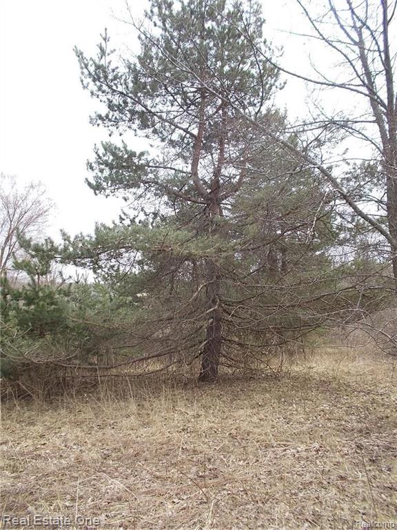 0 North Lake George Road Oakland, MI 48363 - Photo 16 of 55
