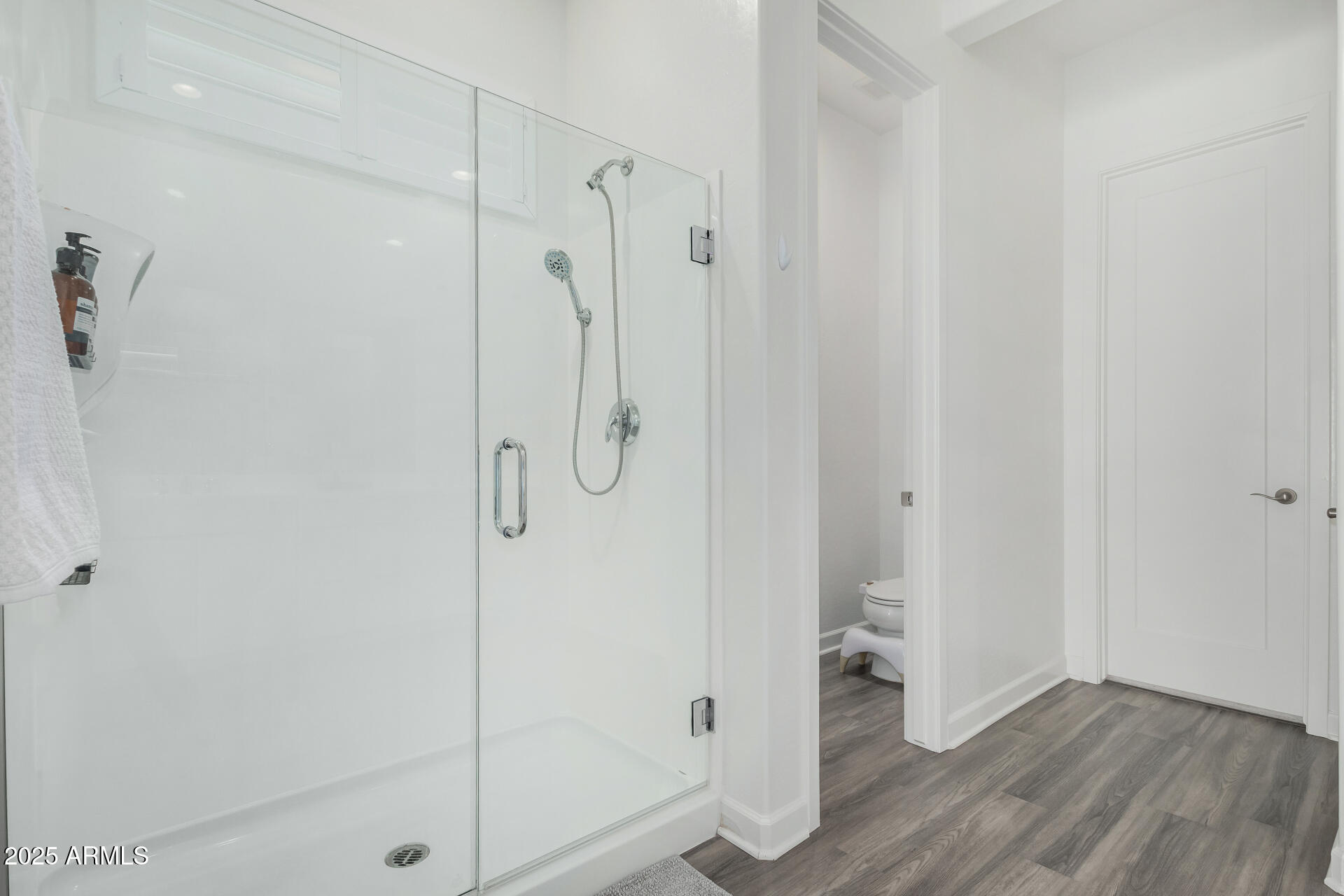 11048 East Utah Avenue Mesa, AZ 85212 - Photo 13 of 29 a bathroom with a shower