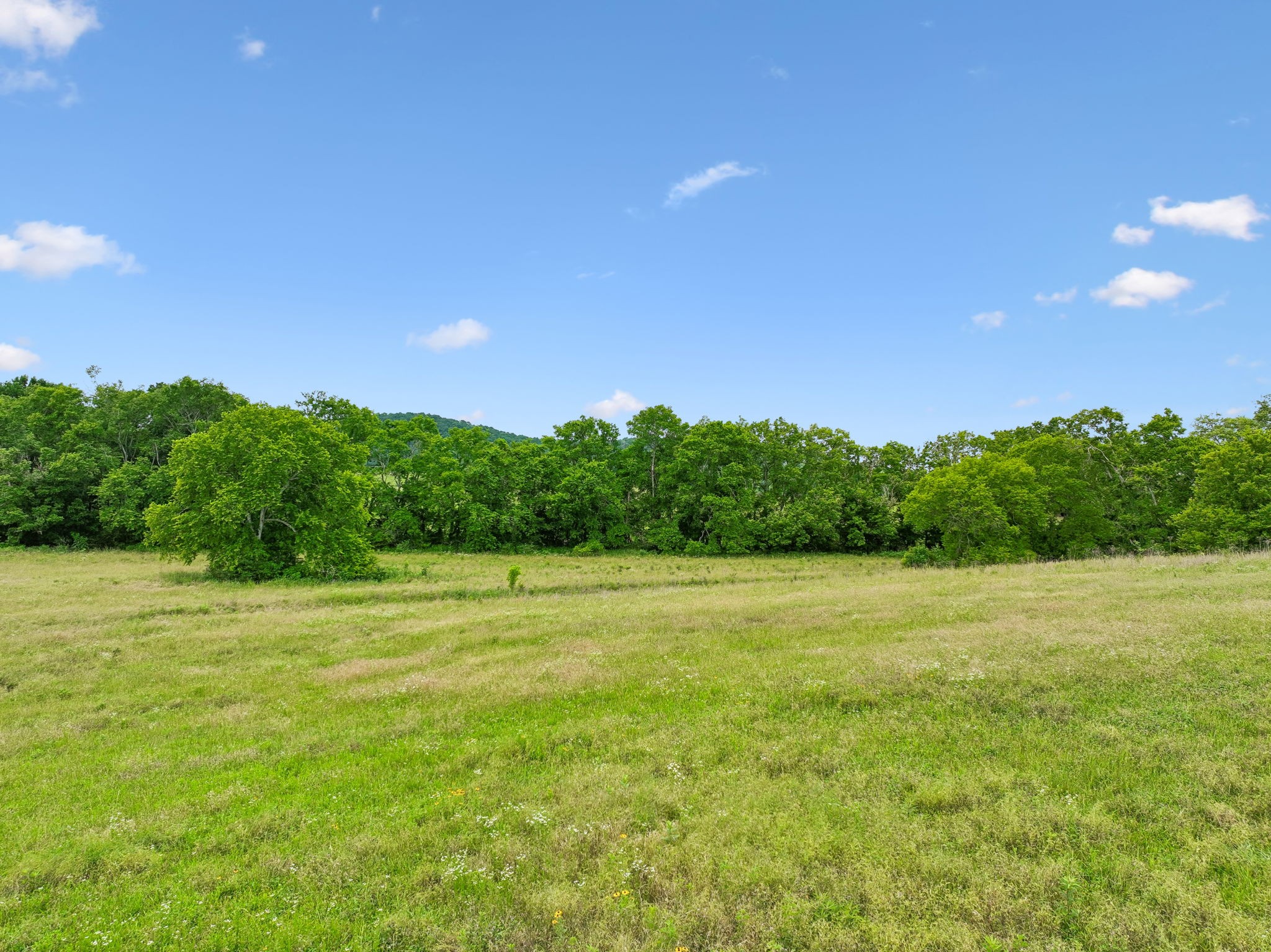 20 Riverbend Lane Carthage, TN 37030 - Photo 7 of 71