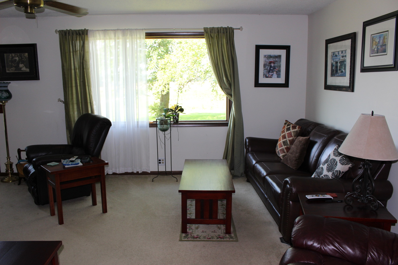 4080 East 3500S Road St. Anne, IL 60964 - Photo 3 of 24