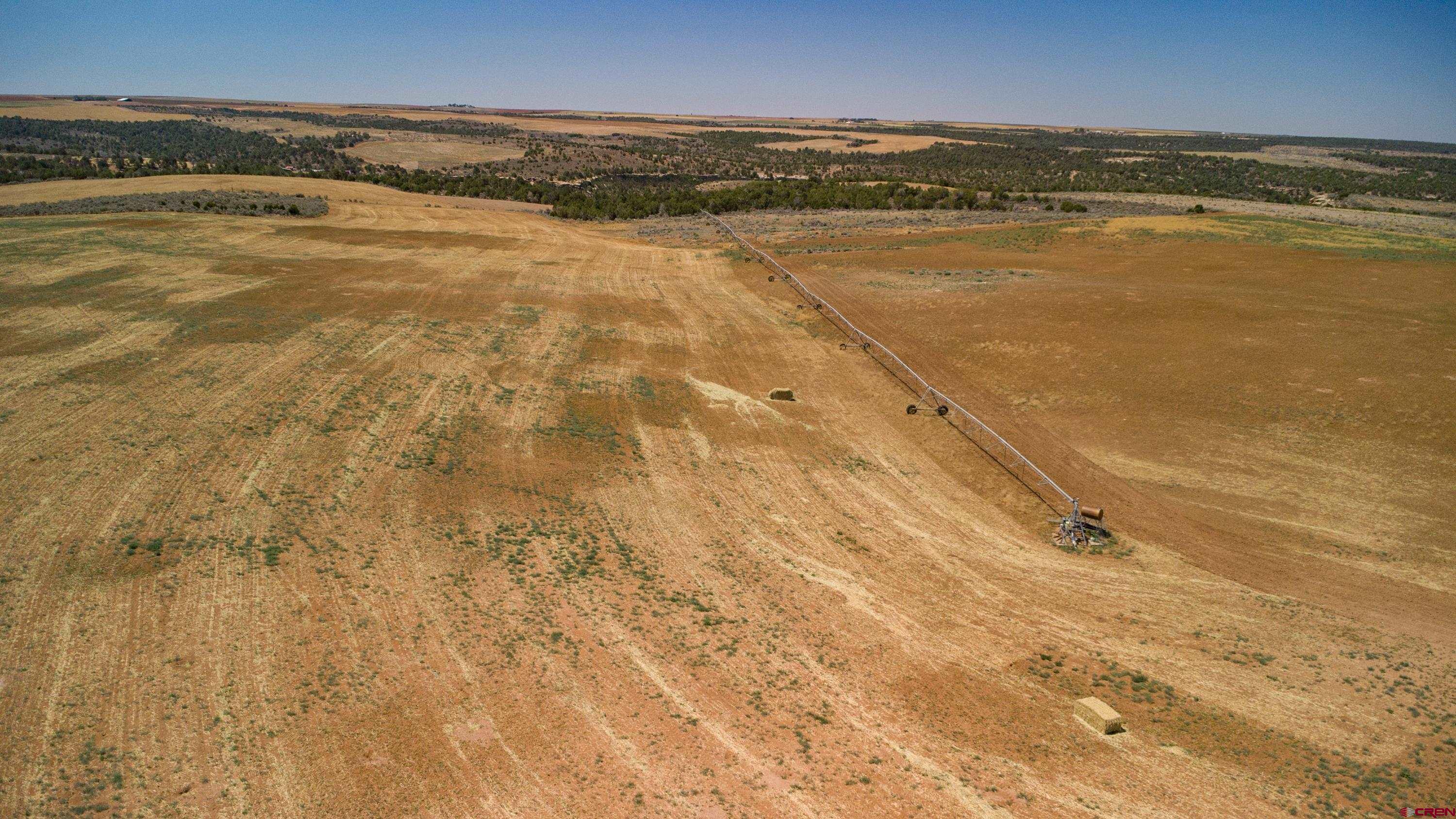 Tbd Tbd Road Pleasant View, CO 81331 - Photo 12 of 17