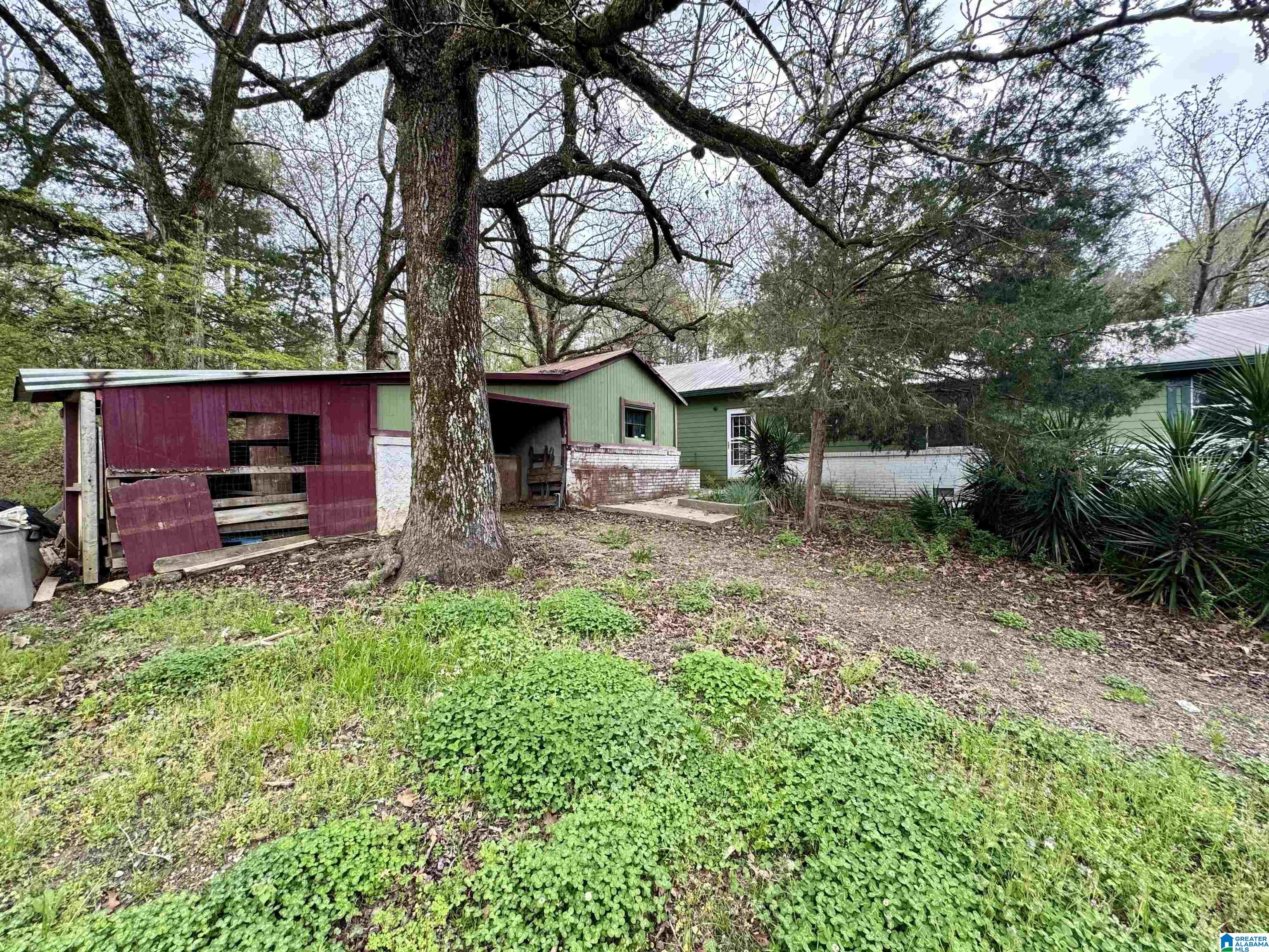 6420 Snowville Brent Road Dora, AL 35062 - Photo 3 of 22