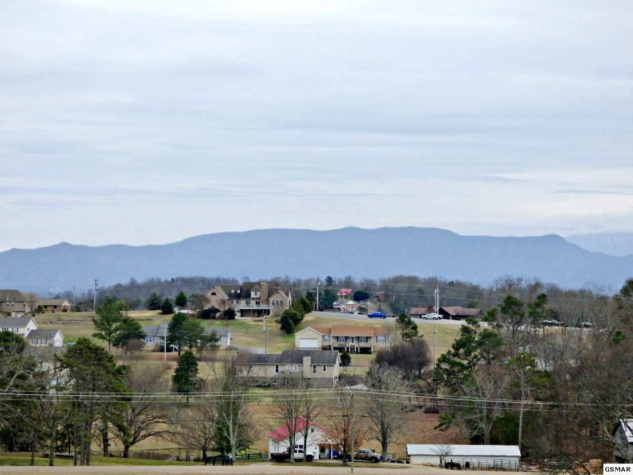 4 Valley Home Road Dandridge, TN 37725 - Photo 9 of 30 Gallery Image 9