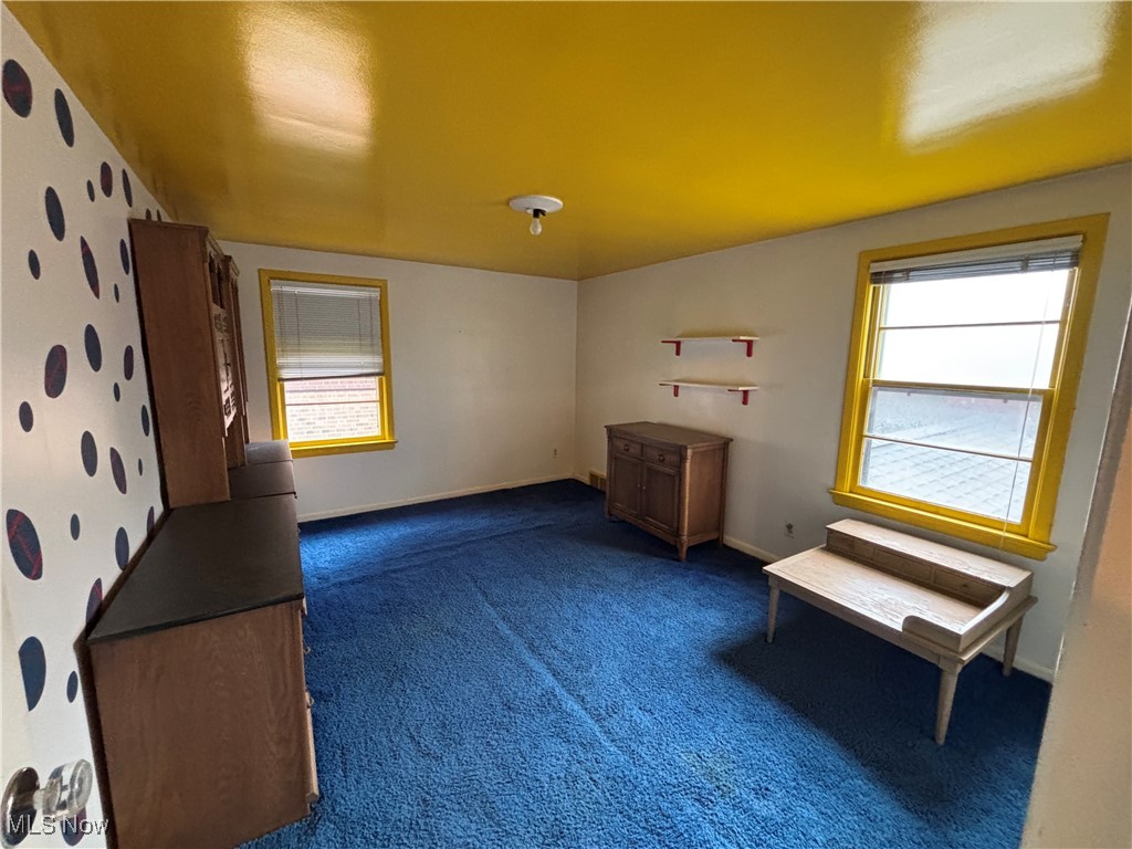 4308 Silsby Road University Heights, OH 44118 - Photo 15 of 28 Miscellaneous room featuring dark carpet and a healthy amount of sunlight