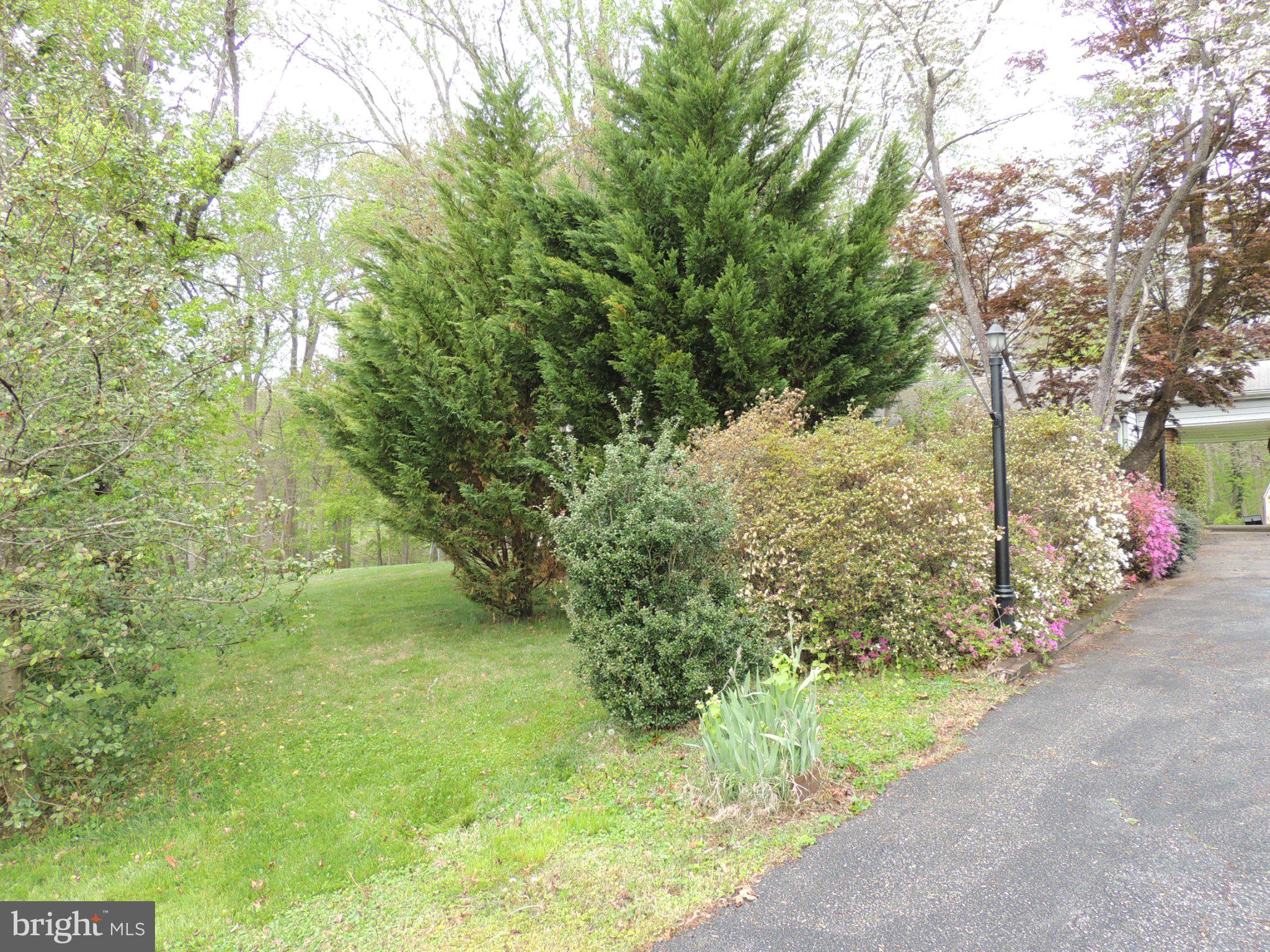 5838 Oklahoma Road Sykesville, MD 21784 - Photo 57 of 72 Lush greenery and vibrant blooms await.
