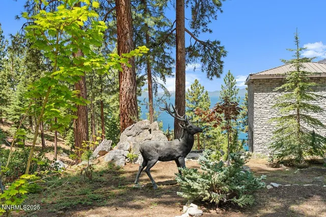 a view of a yard with trees