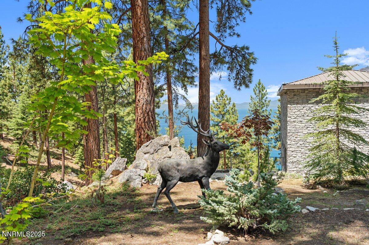 275 Chukkar Drive Glenbrook, NV 89413 - Photo 23 of 29 a view of a backyard