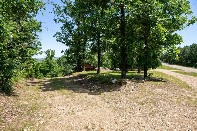 a view of a tree in the middle of a yard