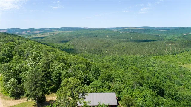 a view of a lush green field with a mountain in the background