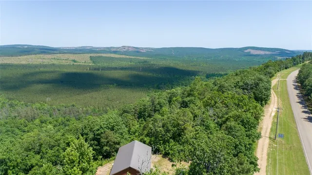 a view of a lush green outdoor space with a lake view