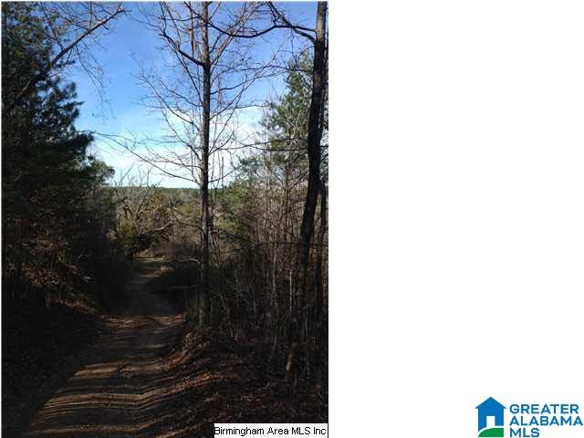 0 Henderson Lake Road, Unit 128 Munford, AL 36268 - Photo 4 of 31