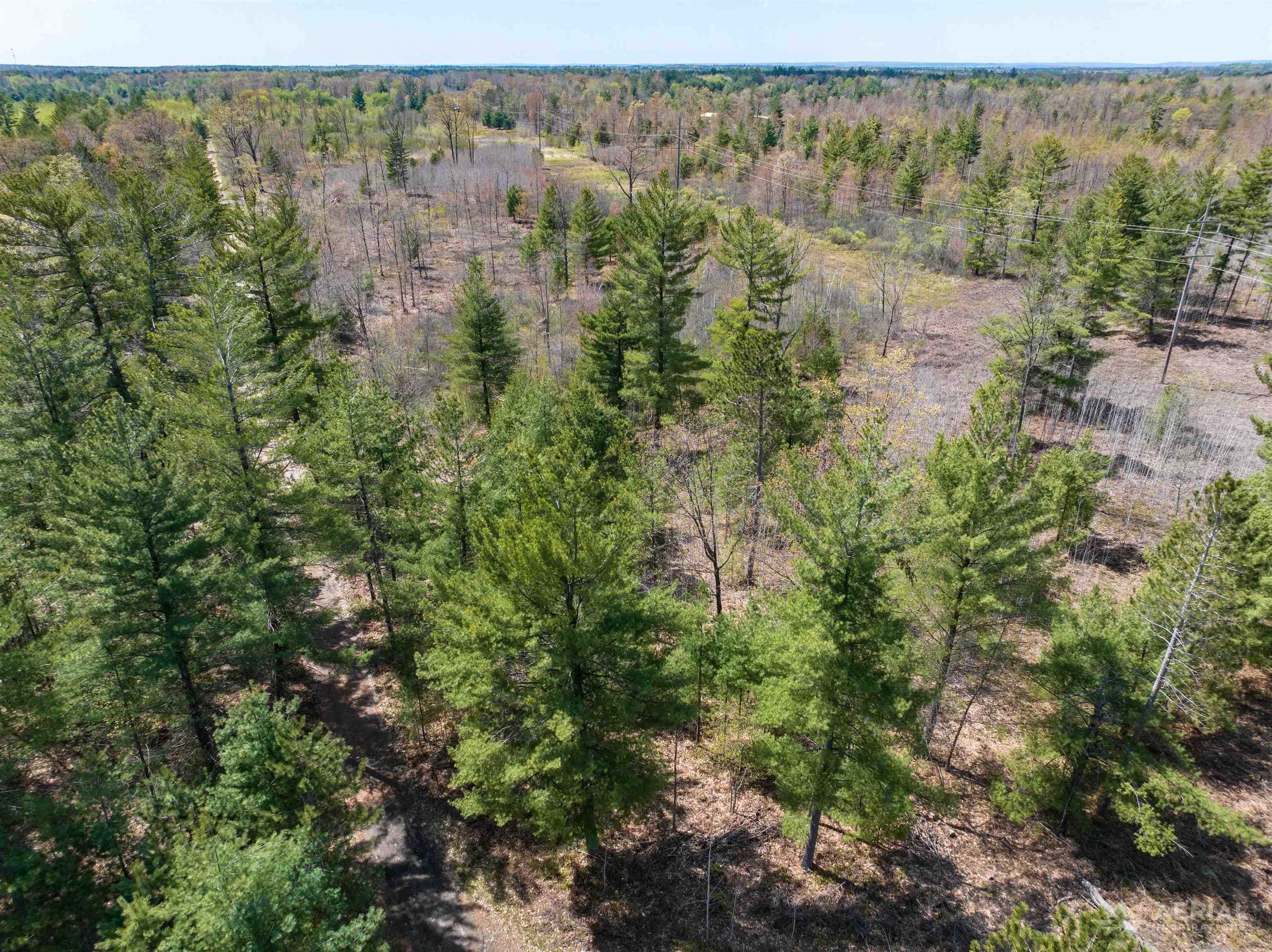 0 Seder Road Alger, MI 48610 - Photo 9 of 13