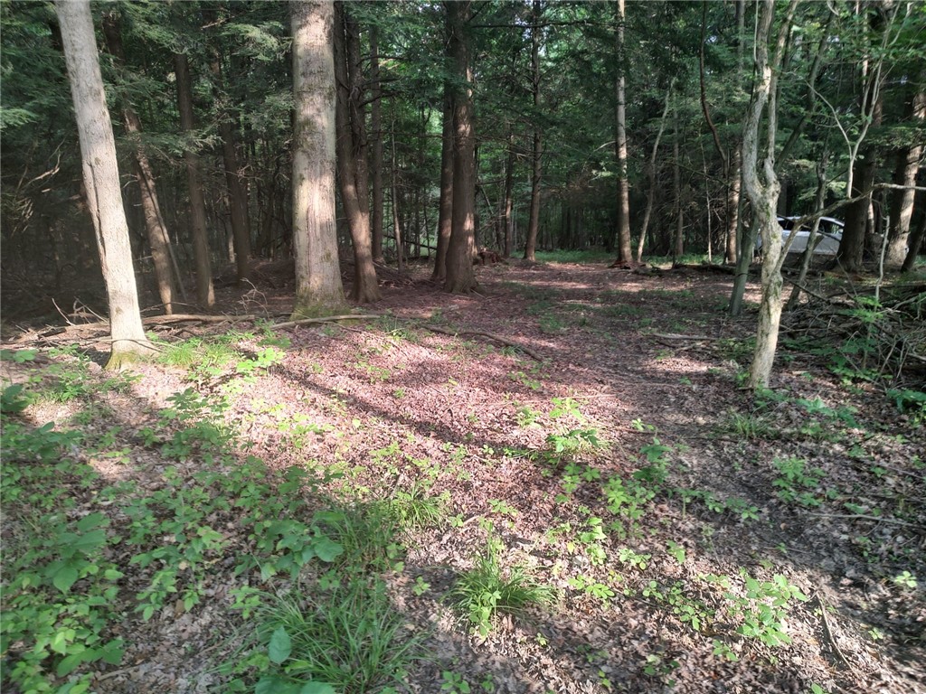 West Road Albion, PA 16401 - Photo 5 of 20 YES, CAN PARK BACK ION THE WOODS