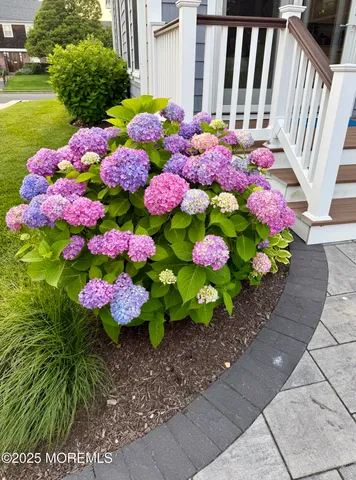 a spacious bedroom with a bed and a chandelier