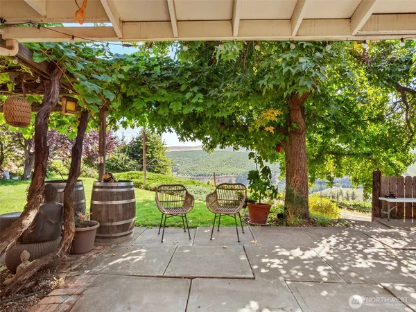 a view of a chair and table in the garden