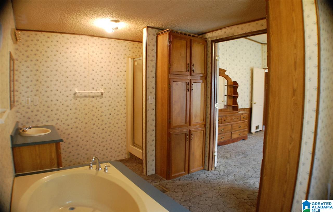 155 County Road 177 Jemison, AL 35085 - Photo 27 of 34