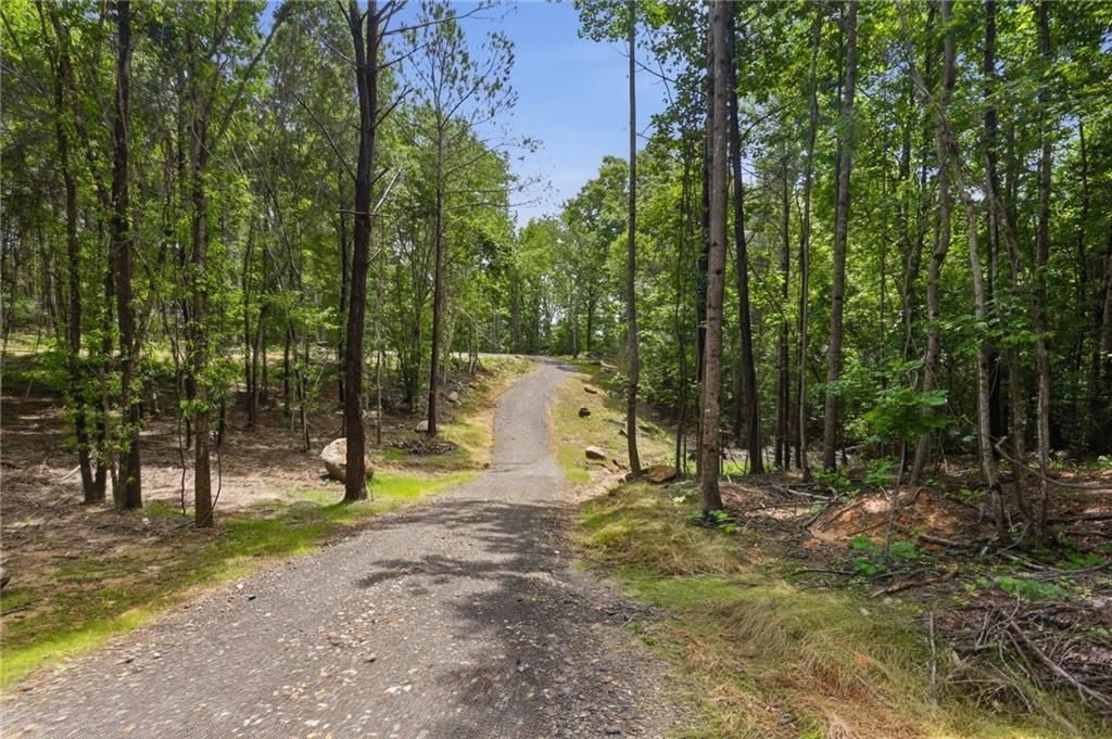 Lot 1 Pete Path Dallas, GA 30157 - Photo 3 of 21