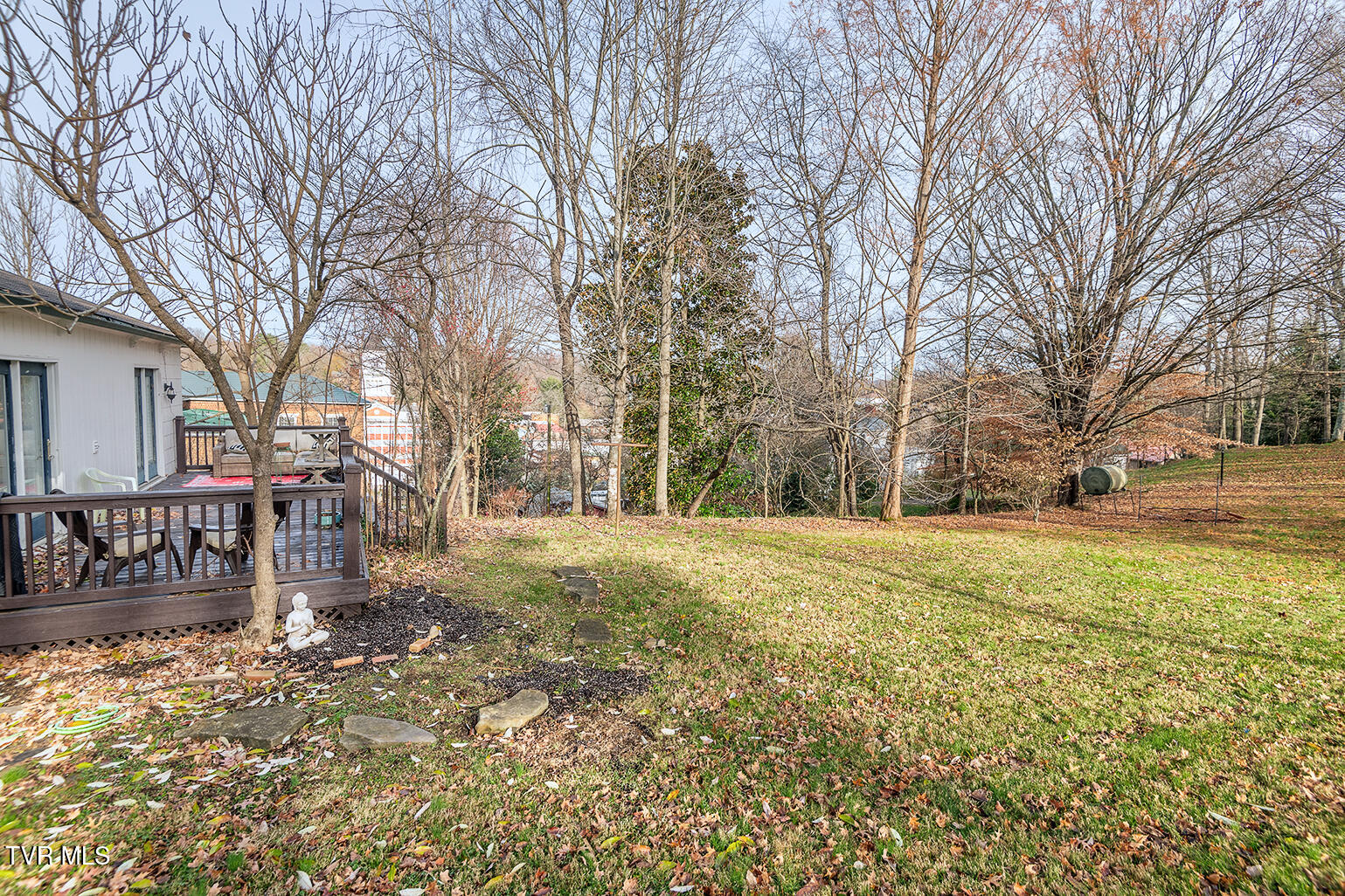 203 South Cherokee Street Jonesborough, TN 37659 - Photo 23 of 50 203-S-Cherokee-St_0500