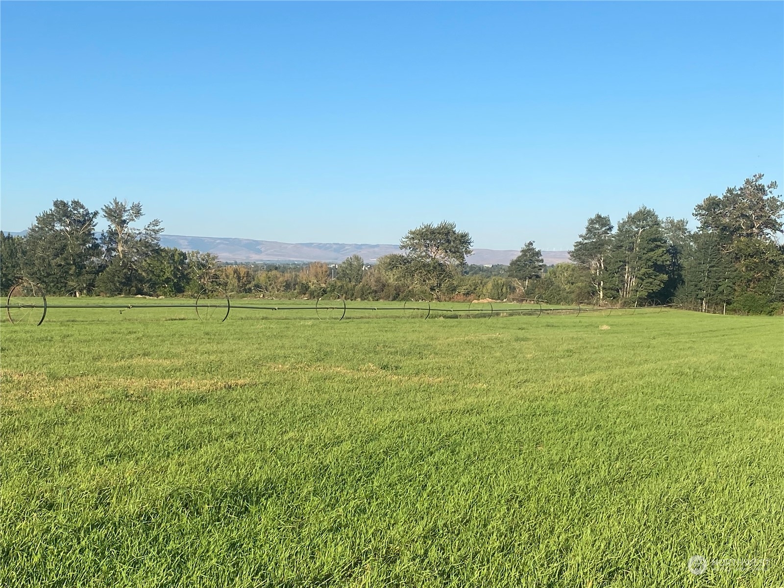 1660 Brown Road Ellensburg, WA 98926 - Photo 11 of 39 Gallery Image 11