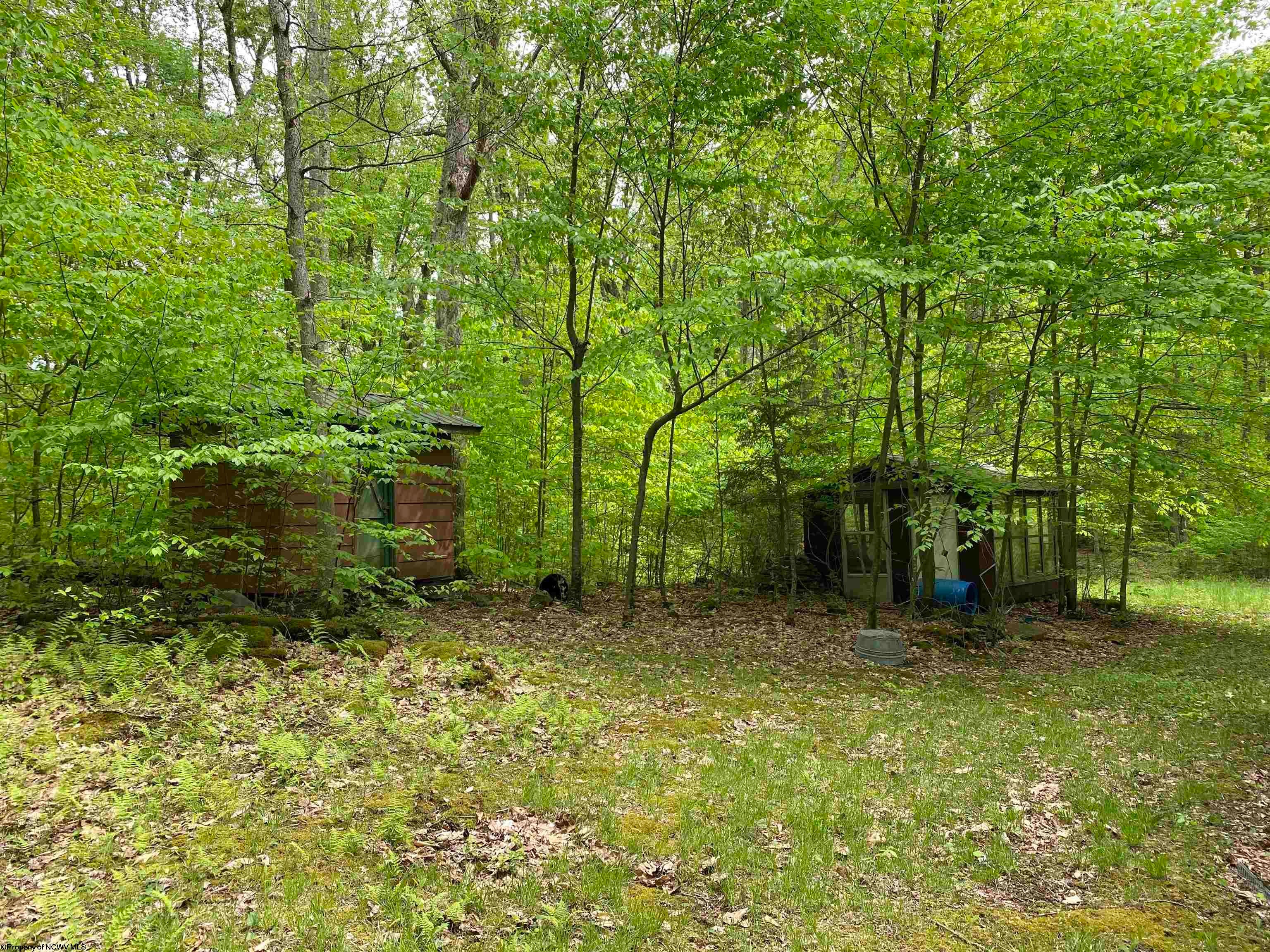 6686 Limestone Road Parsons, WV 26287 - Photo 23 of 28 Gallery Image 23