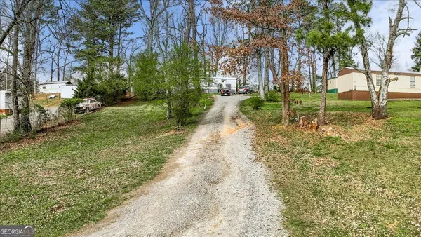 a view of a yard with plants and trees