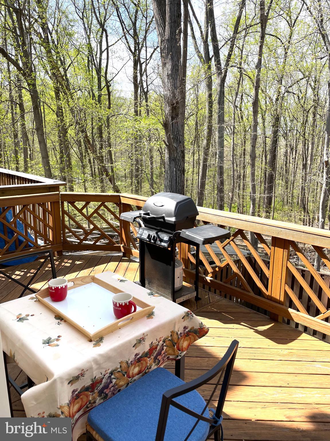 14252 Long Green Drive Silver Spring, MD 20906 - Photo 63 of 75