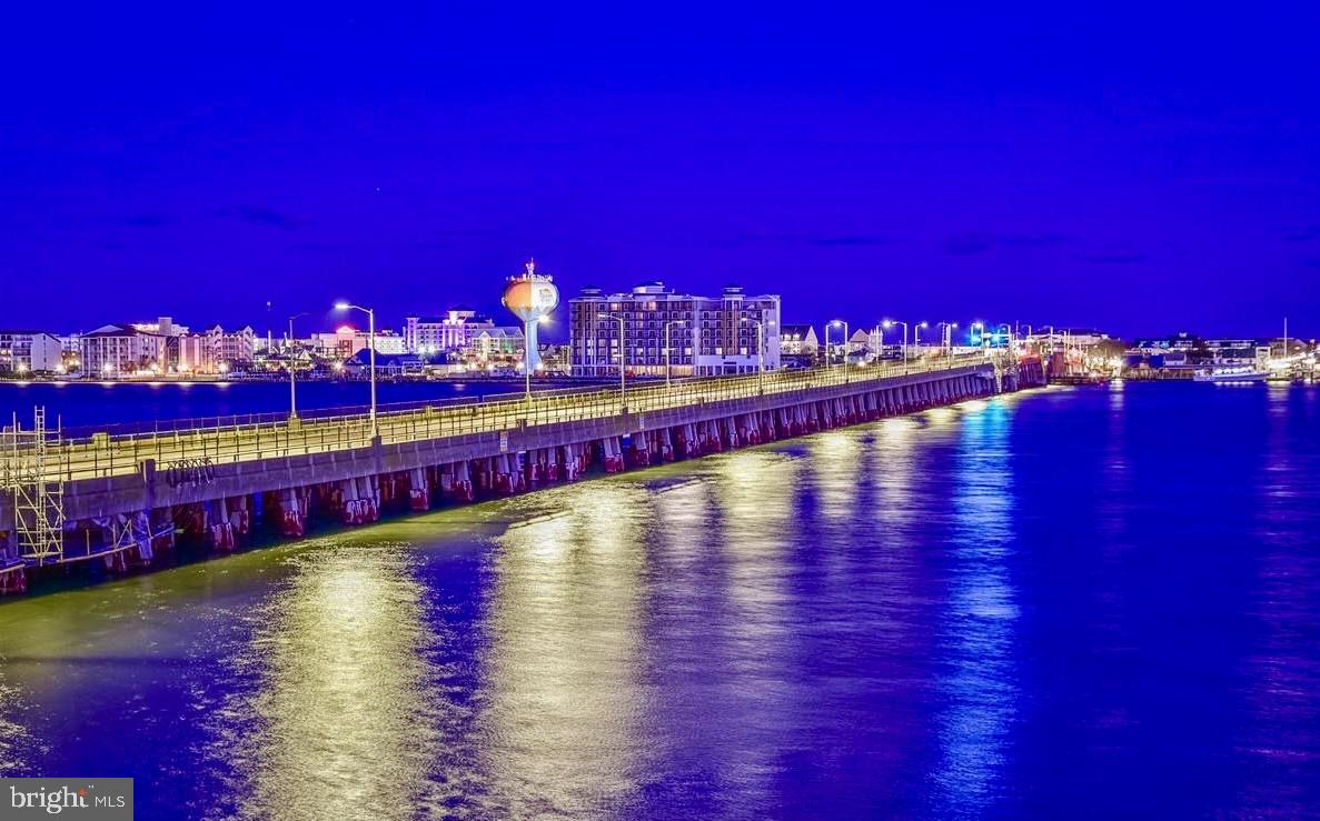 12971 Inlet Isle Lane Ocean City, MD 21842 - Photo 10 of 135 What a view!