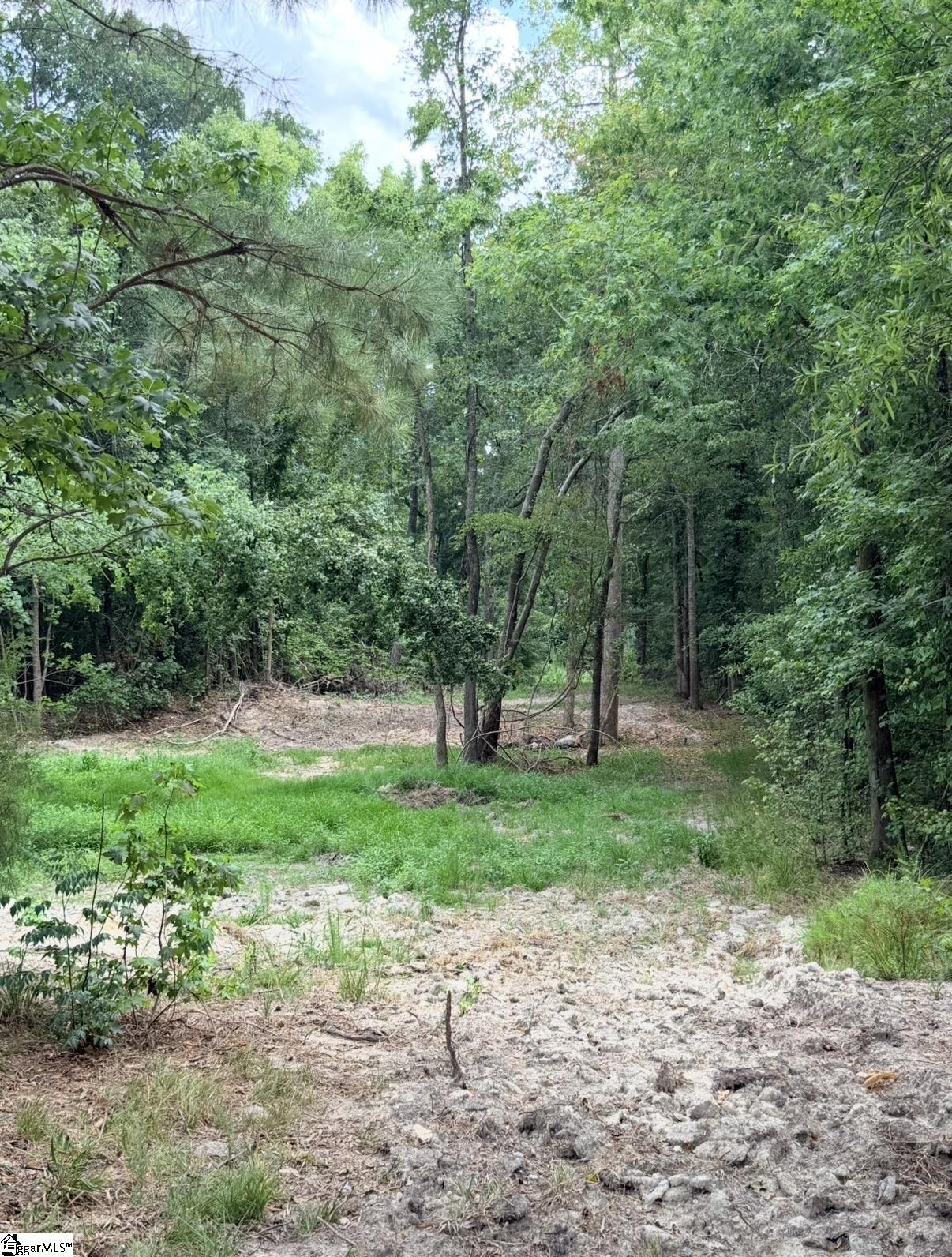 0 Lee Street Johnston, SC 29832 - Photo 19 of 21