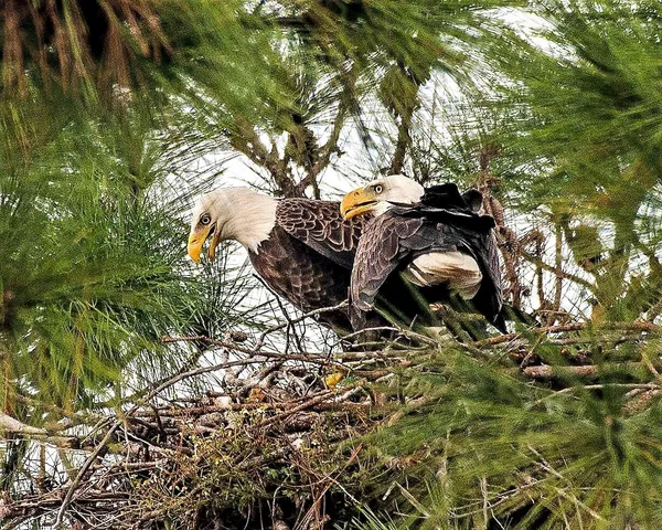 $3,000,000 | 5051 Tozour Road, Fort Pierce, FL 34946