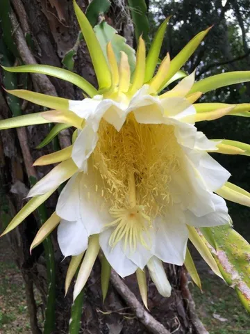 $3,000,000 | 5051 Tozour Road, Fort Pierce, FL 34946