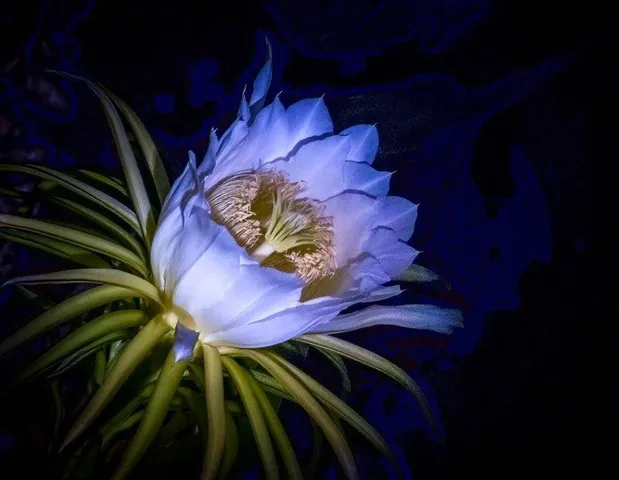 $3,000,000 | 5051 Tozour Road, Fort Pierce, FL 34946