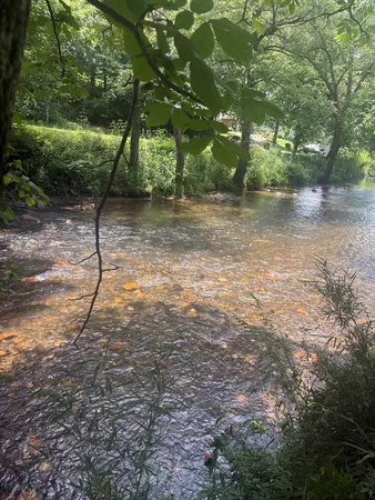 $150,000 | Lot 6 Creekfront Lane, Hayesville, NC 28904