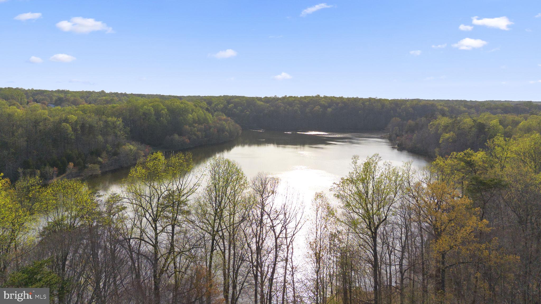 9323 Castle Hill Road Springfield, VA 22153 - Photo 89 of 95