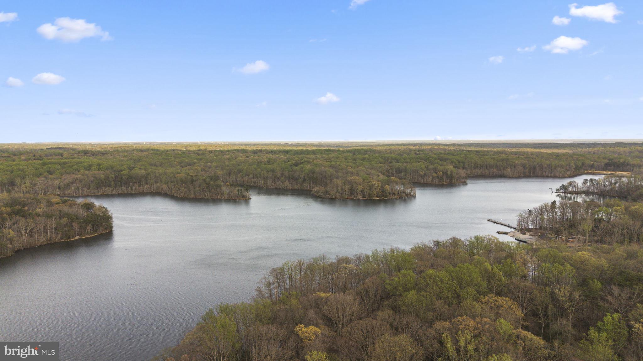 9323 Castle Hill Road Springfield, VA 22153 - Photo 91 of 95